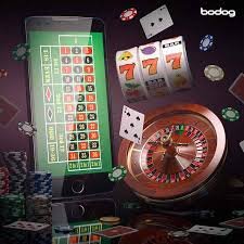 19bet com